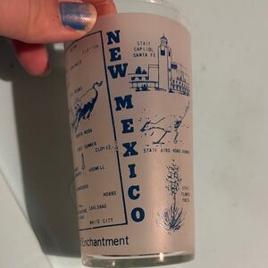 New Mexico Souvenir Glass